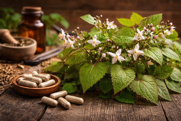 What Is Icariin and why should men care?